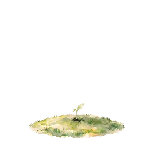 Tree stage: Seed