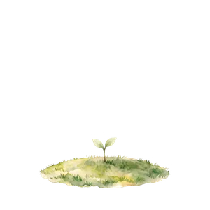 Tree stage: Sprout