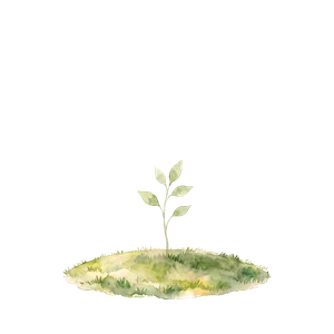 Tree stage: Seedling