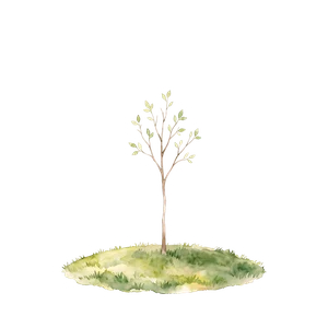 Tree stage: Sapling