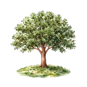 Tree stage: Leafy