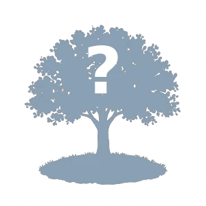 Locked tree stage — keep growing to reveal it