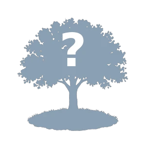 Locked tree stage — keep growing to reveal it
